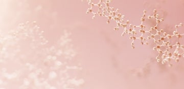 Eine vielseitige Behandlung für eine bessere Hautqualität